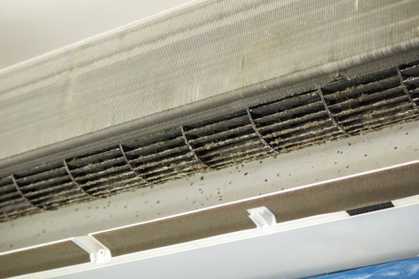 Best Air Duct Cleaning Company Near Me  in Steamboat Springs, CO